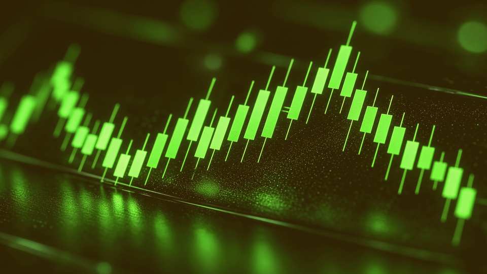 BSC House Signal desk artwork
